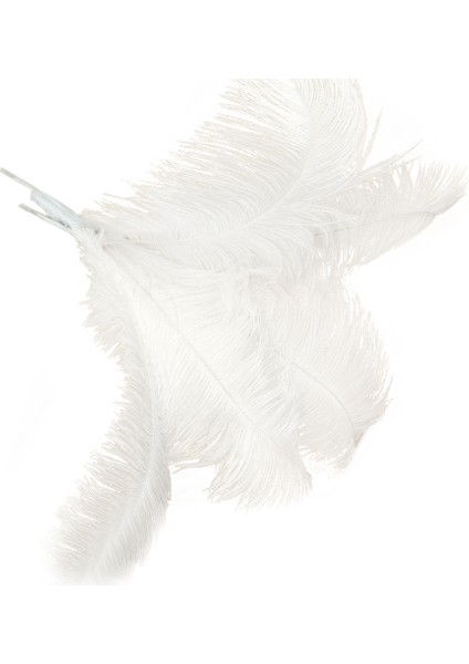 10 Adet Doğal Devekuşu Tüyleri Düğün Partisi Dekorasyonu Beyaz 45-50CM (Yurt Dışından) fiyatları