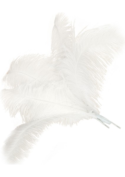 10 Adet Doğal Devekuşu Tüyleri Düğün Partisi Dekorasyonu Beyaz 45-50CM (Yurt Dışından) modelleri