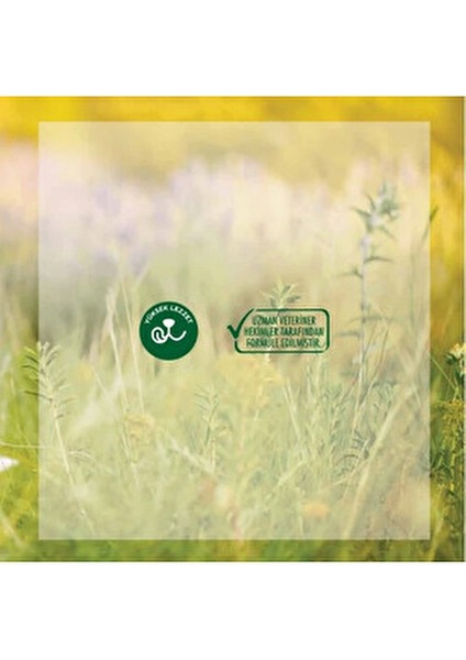 15 kg Tavuklu Yavru Kedi Maması Tam ve Dengeli Beslenme İçin Yavru Kedilere Uygun indirimleri