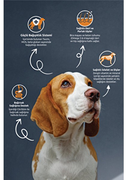 Yetişkin Köpek Maması 15 kg Kuzu ve Pirinçli Lezzetli Mama Segmenti fiyatları