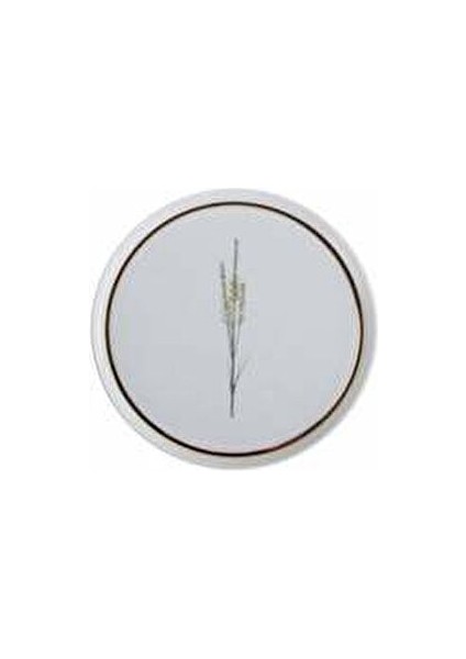 21 cm Botanical Desen Düz Tabak Alumilite Porselen Zarif Çiçek Desenli fiyatları