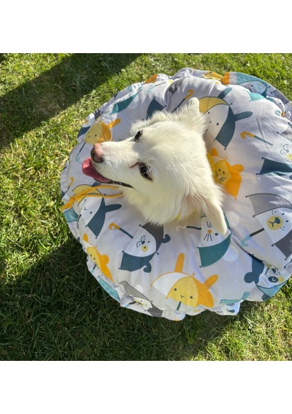 Kedi ve Köpek Operasyon Boyunluk,yakalık,yastık (XL Dış çap:45 Cm) % 100 Koruma Kumaş Huni Model 01 modelleri