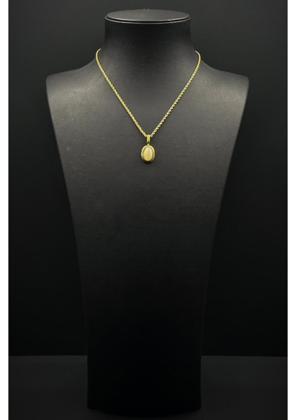 316L Çelik Özel Tasarım Altın Renk Kadın Kolye FRJ30878-978-GA fiyatları