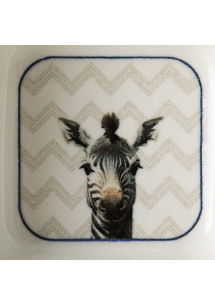 Iconıc Kare Çerezlik 10CM-ZEBRA