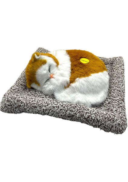 Sesli Peluş Yatan Kedi
