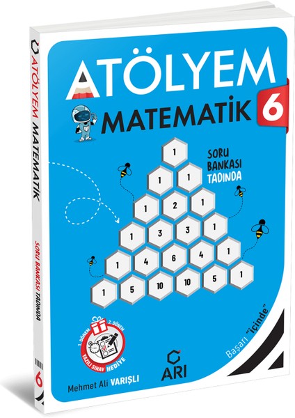 6. Sınıf Matematik Atölyem Arı Yayınları modelleri