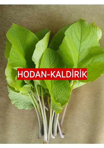 500 Gr. Hodan-Kaldirik-Ispıt Otu
