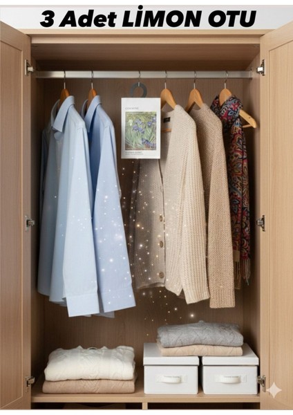 Dolap ve Çekmece Kokusu – 3 Adaet Askılı Koku Poşeti, Çoklu Aroma Seçenekli, Uzun Ömürlü Koku