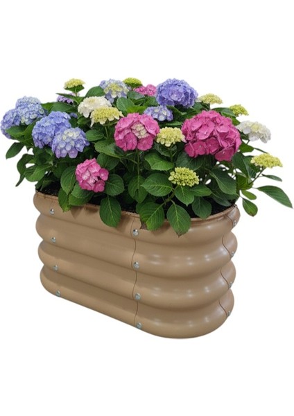 Modüler Yükseltilmiş Bahçe Yatağı Yükseltilmiş Sebze Yatağı Çiçeklik No:0 (60X34) Bej