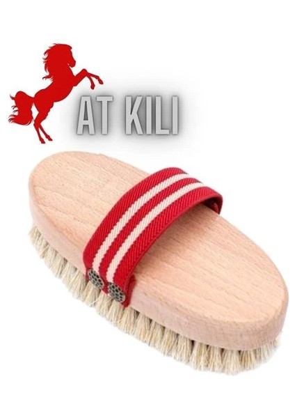 Bfs Absolute At Kılı Kuru Islak Selülit Peeling Fırçası