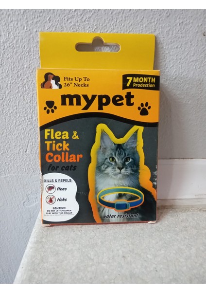 Kedi Bit Pıre Tasması