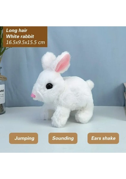 Plush Pet Pilli Tavşan cm Oyuncak