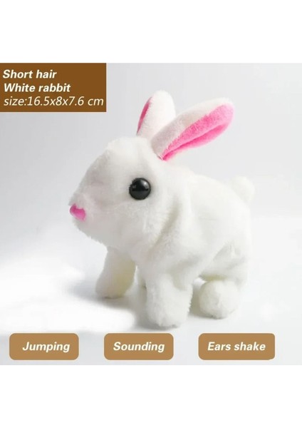 Plush Pet Pilli Tavşan cm Oyuncak fiyatları