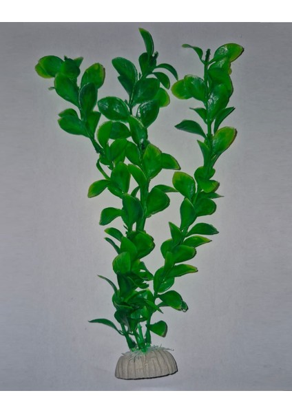 PB12 Plastik Akvaryum Bitkisi 30 cm