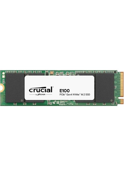E100 1tb Pcıe Gen4 2280 Nvme M.2 SSD (5000-4500 Mb/s) CT1000E100SSD8
