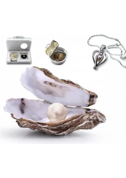 Gerçek Istiridye Içinde Inci Kolye fırsatları