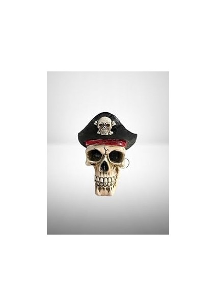 Korsan Kafatası Biblo