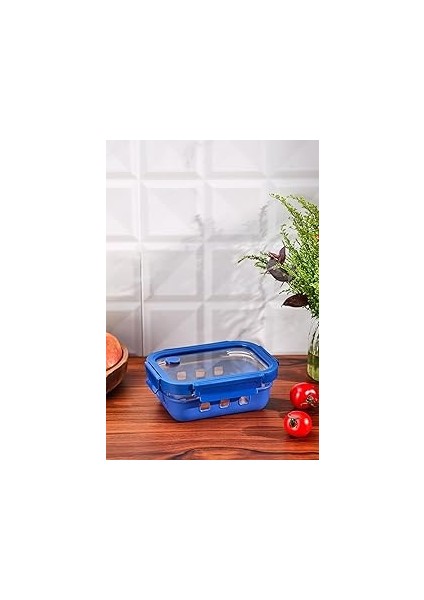 640 ml Borosilikat Saklama Kabı