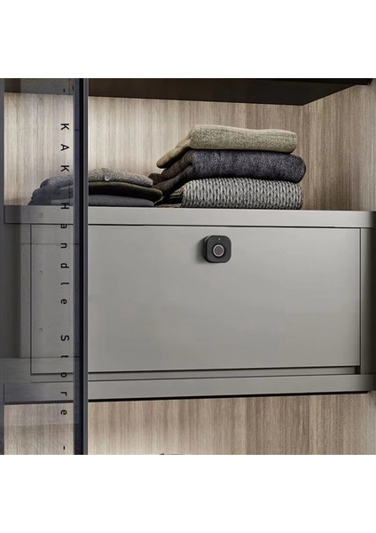 Biyometrik Parmak Izi Kilidi Siyah Anahtarsız Dolap Kilidi Akıllı Çekme Kilitler Hırsızlık Karşıtı Kapı Kilidi Uzun Bekleme Zaman Kapısı (Yurt Dışından) modelleri