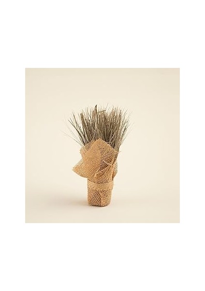 Chakra Alexa Jütte Kuru Çiçek