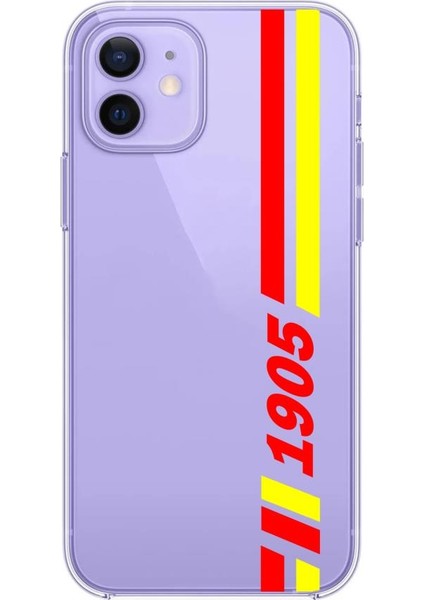 Iphone 12 & Iphone 12 Pro Uyumlu Desenli Şeffaf Silikon Kılıf