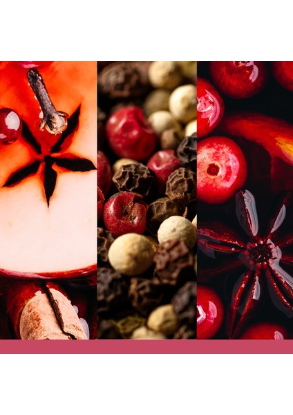 Santa On Skis Orta Mum fiyatları