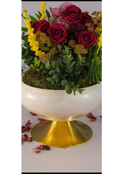 Ayaklı Krem Gold Saksıda Gül & Mimoza Aranjmanı