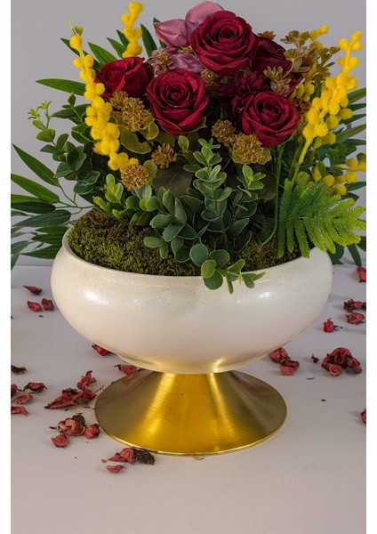 Ayaklı Krem Gold Saksıda Gül & Mimoza Aranjmanı modelleri