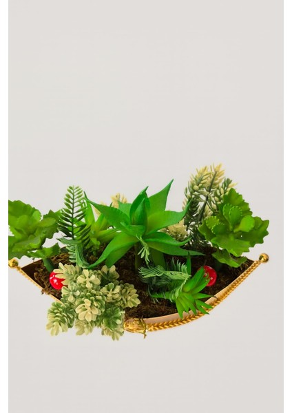 Golden Gondola Garden – Lüks Sukulent & Yeşil Bitki Aranjmanı fiyatları