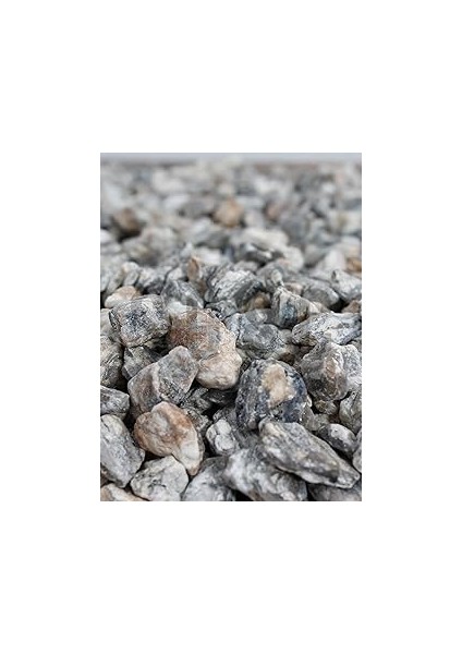 Sosc Dekoratif Çakıl Taşı, Gnays Dolomit, Gri-Sarı Damarlı, 1-2 Cm, 1 kg
