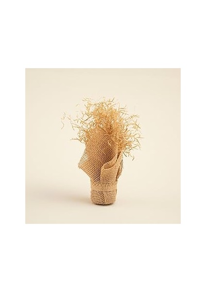 Chakra Alina Jütte Kuru Çiçek