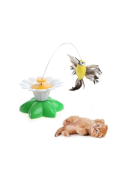 Pribor Hareketli Kedi Oyuncağı Dönen Kuş Başlıklı (Pille Çalışır)