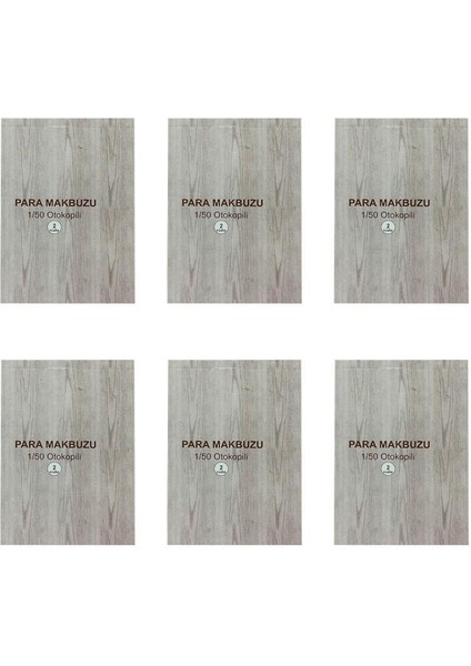 Dilman 4022 Para Makbuzu 1/50 Otokopili - 6 Adet