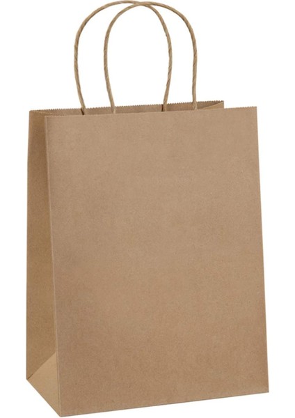 25X12X31 Burgu Saplı 70GSM Recycle Kraft Kağıt Poşet 500 Adet