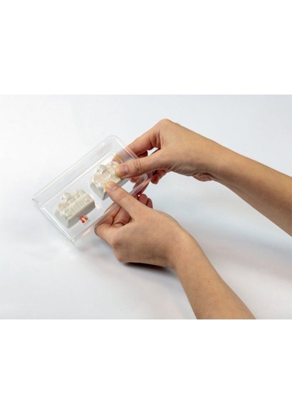 18802NS Teraryum - Stranger Things - Vecnanın Evi