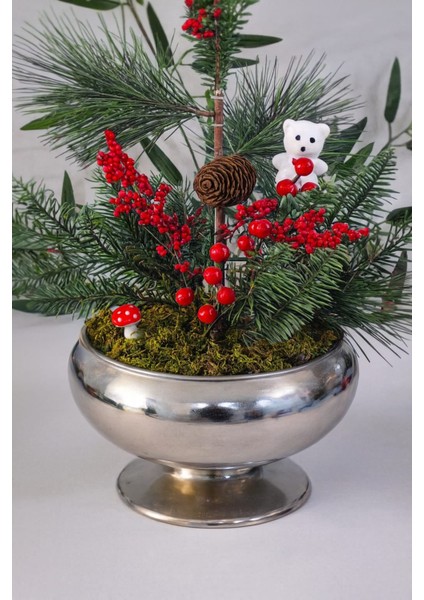 Noelberry Silver Bowl–yılbaşı Özel Çam Kokina Aranjmanı