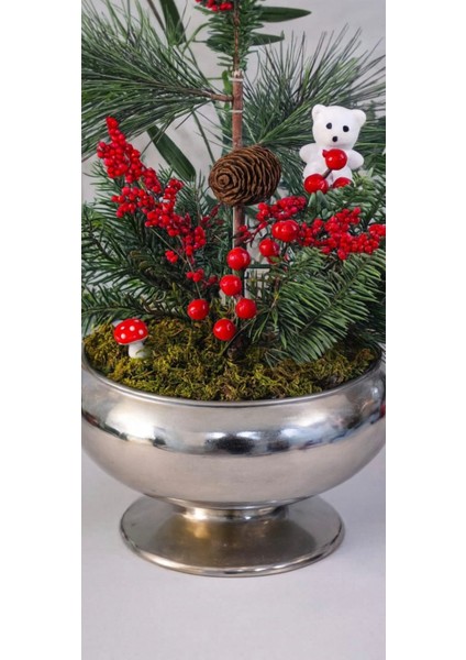 Noelberry Silver Bowl–yılbaşı Özel Çam Kokina Aranjmanı fiyatları