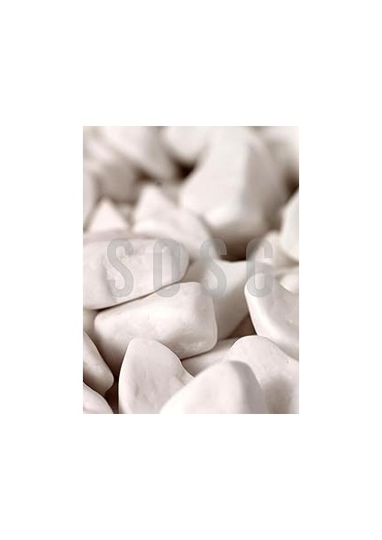 Beyaz Çakıl Taşı Dolomit Taşı Bahçe Süsü Akvaryum Taşı Dere Çakıl Taşı 1-2 cm 3 kg