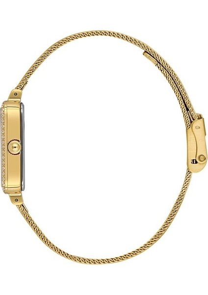 Danıel Kleın DKE.1.10969-2 Altın Kaplama Yeşil Kadran Dikdörtgen Hasır Kordon Taşlı Kadın Kol Saati fiyatları