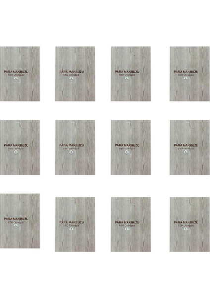 Dilman 4022 Para Makbuzu 1/50 Otokopili - 12 Adet