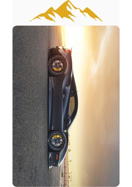 Parlak Kadife Kumaş Dijital Baskı Dot Kaymaz Tabanlı Çocuk ve Genç Odası Halısı H0676 modelleri