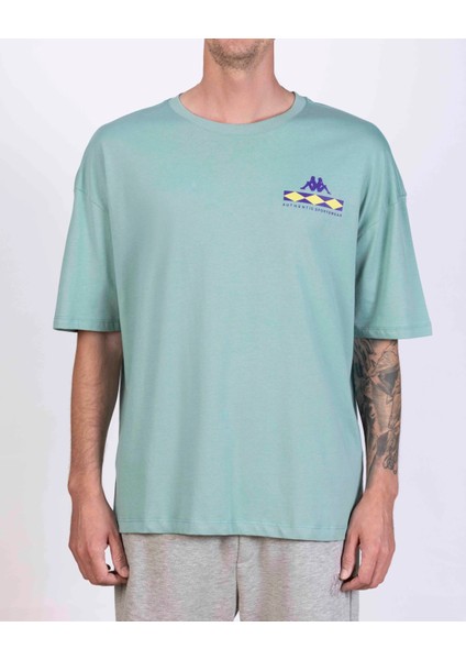 Authentic Coledy Erkek Regular Fit Tişört fiyatları