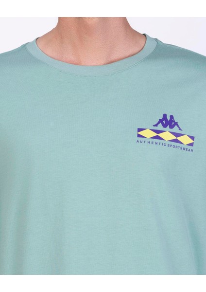 Authentic Coledy Erkek Regular Fit Tişört modelleri