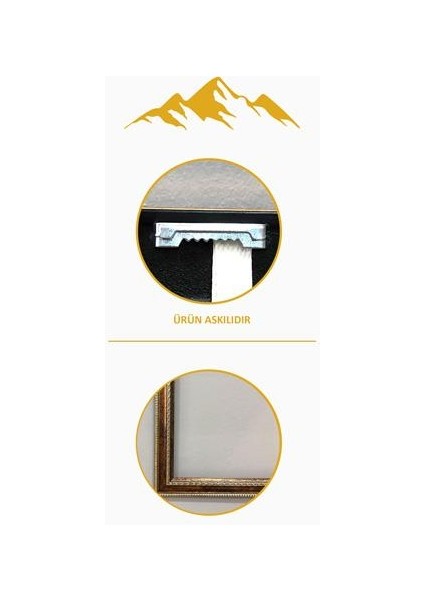 Iran Halısına Sarılmış Leopar Desenli Dijital Baskılı Kadife Kumaş Çerçeveli Tablo TBL0026 modelleri