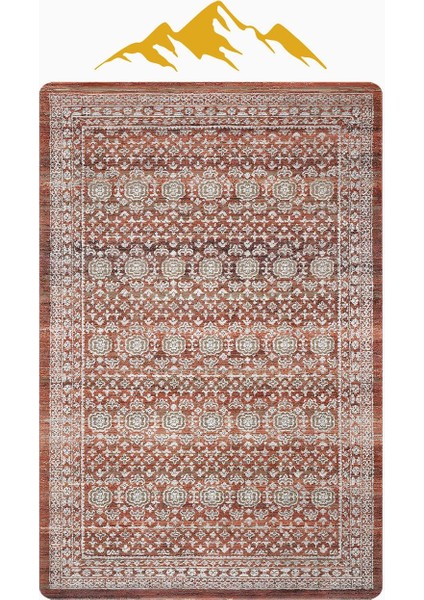 Parlak Kadife Kumaş Vıntage Dijital Baskı Dot Kaymaz Tabanlı Halı H1067 modelleri