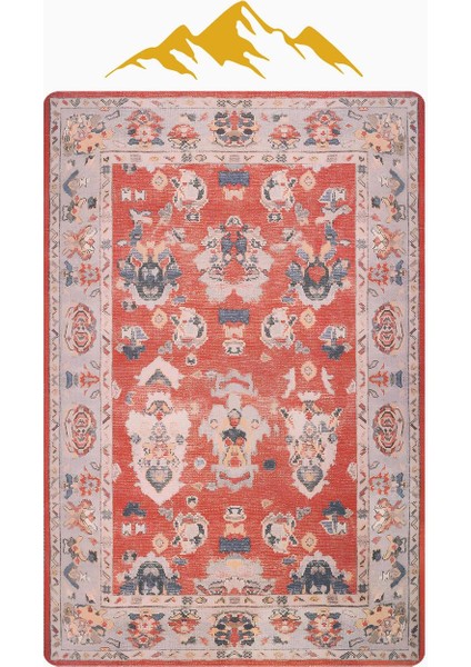 Parlak Kadife Kumaş Vıntage Dijital Baskı Dot Kaymaz Tabanlı Halı H0829 modelleri