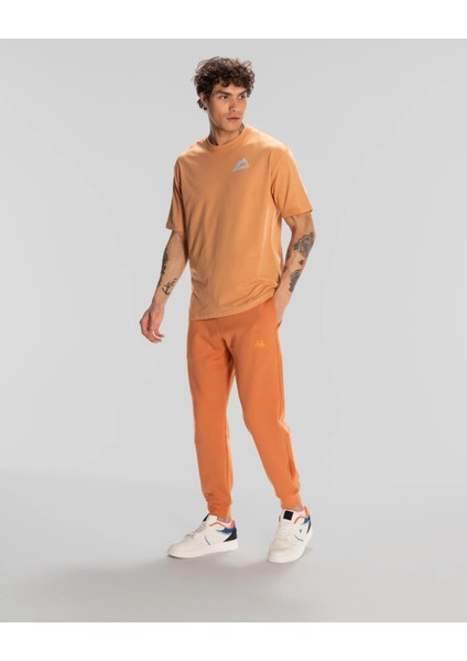 Frotis Erkek Camel Regular Fit Tişört modelleri