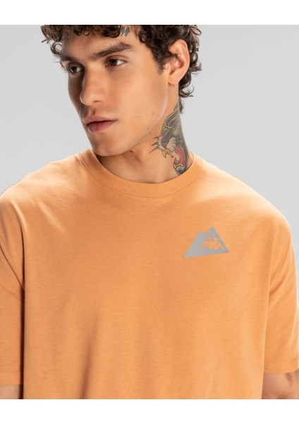 Frotis Erkek Camel Regular Fit Tişört indirimleri