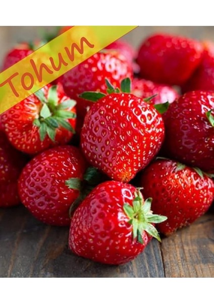 Tarım Yerli Doğal Çilek Yediveren 0,1 Gram Tohum