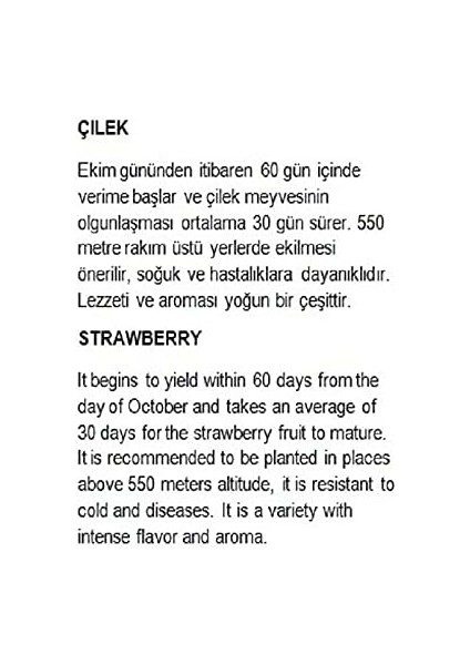 Tarım Yerli Doğal Çilek Yediveren 0,1 Gram Tohum fiyatları